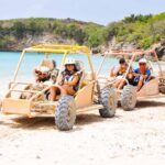 Buggies Extreme Tour Half Day From Punta Cana Buggy Experience