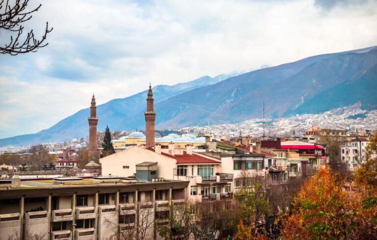 Bursa: Private Walking Tour Exploring Bursas Highlights