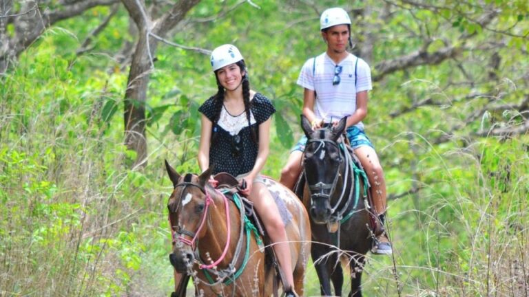 Cádiz Country Side: Ride An Andalusian Horse Activity Overview