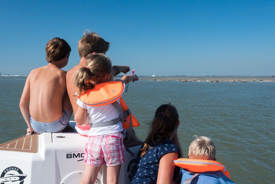 Cadzand: Seal Discovery Boat Tour With Glass of Champagne - Tour Overview