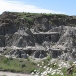 Calgary To Royal Tyrrell Museum | Drumheller – Private Tour Tour Overview