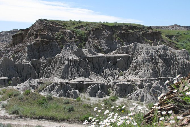 Calgary to Royal Tyrrell Museum | Drumheller – PRIVATE TOUR - Tour Overview