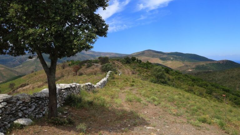 Calvi: Asco Valley 4x4 Day Tour With Guide Stunning Landscapes And Scenic Vistas