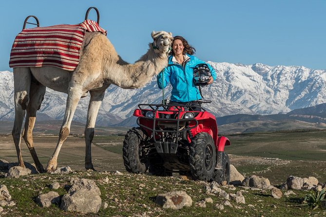 Camel And Quad In Marrakech Marrakech Adventure Await