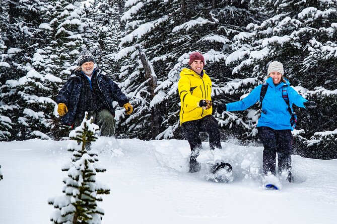 Canadian Rockies Helicopter & Snowshoe Adventure - Location and Accessibility