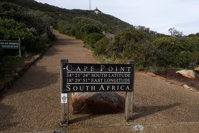 Cape Of Good Hope And Penguins Small Group Full Day Tour Overview