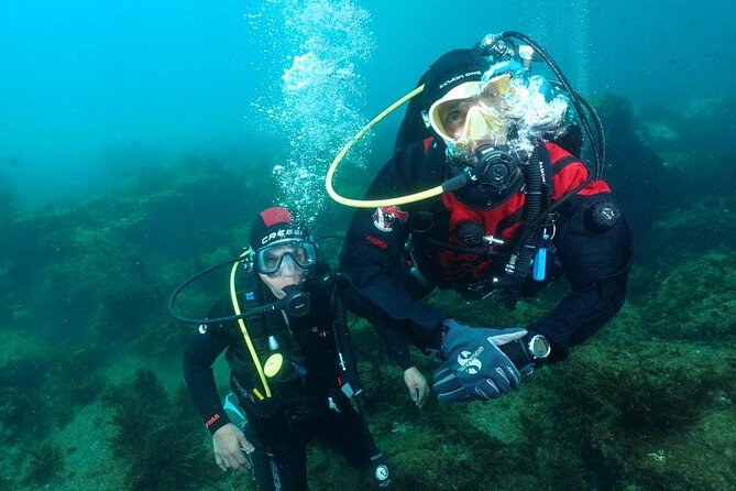 Catania: Scuba Diving Experience - Tour Overview