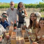 Cava Tour: 3 Wineries, Small Group Tour, And Hotel Pick Up Tour Overview