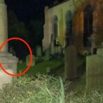 Charleston: Real Hauntings Of Charleston Guided Tour Tour Overview