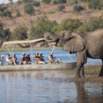 Chobe Day Trip Ex Livingstone / Victoria Falls Key Features And Highlights