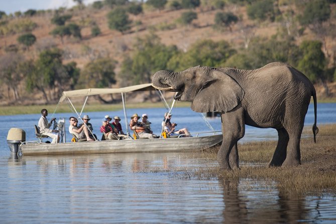 Chobe Day Trip Ex Livingstone / Victoria Falls - Key Features and Highlights