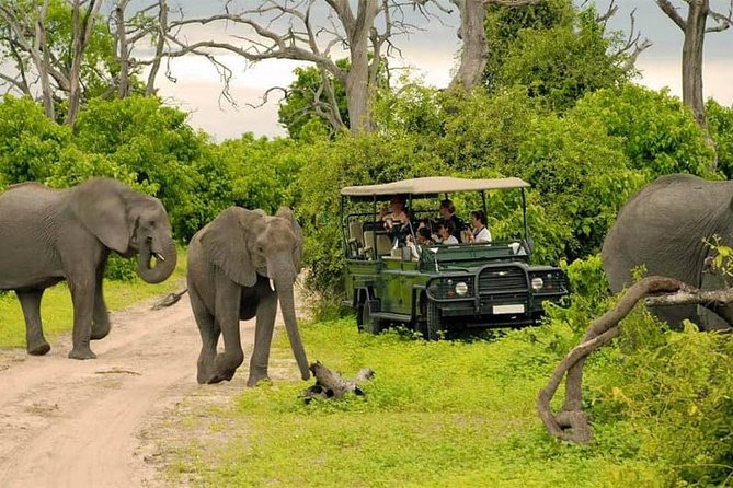 Chobe Full Day Trip Overview