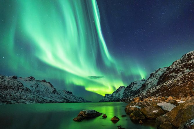 Classic Northern Lights Tour From Reykjavik With Live Guide and Touch-Screen Audio Guide - Overview of the Tour