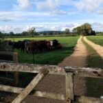 Cotswolds: Full Day Private Walking Tour With Local Guide Tour Overview