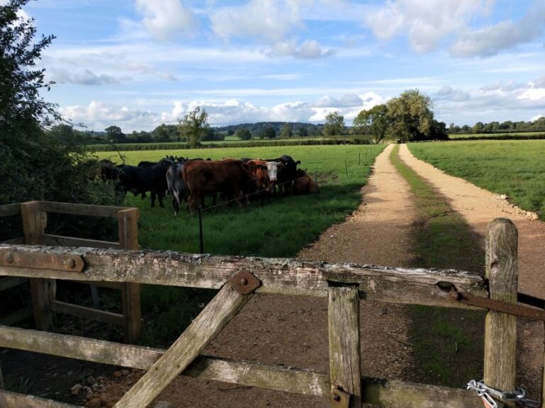 Cotswolds: Full Day Private Walking Tour With Local Guide Tour Overview