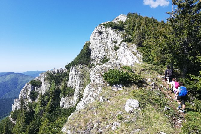 Day Hike PRIVATE - Piatra Craiului National Park - Meeting and Pickup Logistics