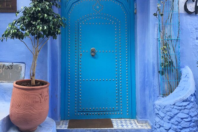 Day Trip From Fez to Chefchaouen - Group Tour - Highlights of the Trip