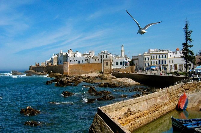 Day Trip To Essaouira - Overview of the Trip