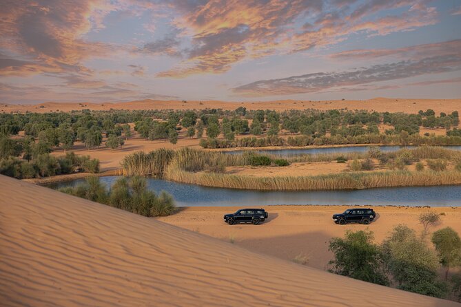 Desert Conservation Wildlife Drive & Breakfast at Al Maha Resort - Overview of the Tour