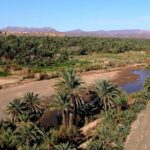 Desert Odyssey: A 2 Day Journey From Marrakech To Zagora Marrakech Departure And Pickup