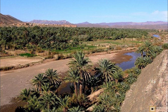 Desert Odyssey: A 2 Day Journey From Marrakech To Zagora Marrakech Departure And Pickup