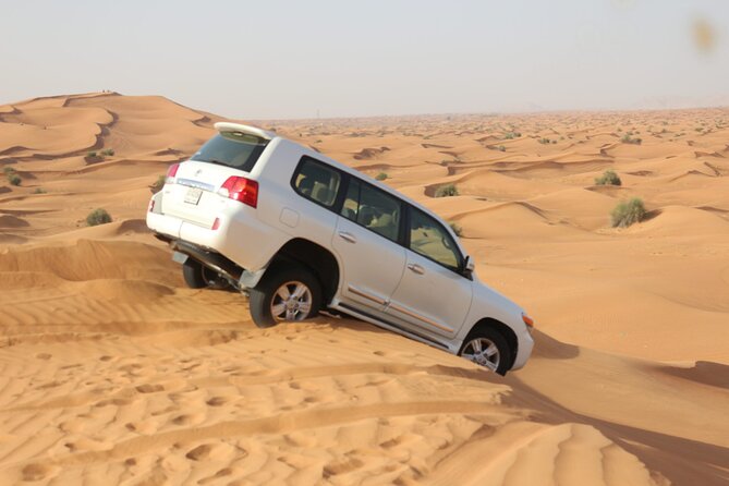 Desert Safari Dubai - Overview of Desert Safari