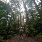 Diamond Head Manoa Falls Tour Details