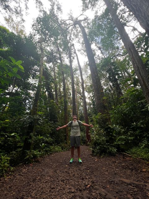 Diamond Head Manoa Falls Tour Details