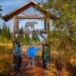 Discover Grizzly Bears From Banff Overview Of The Excursion