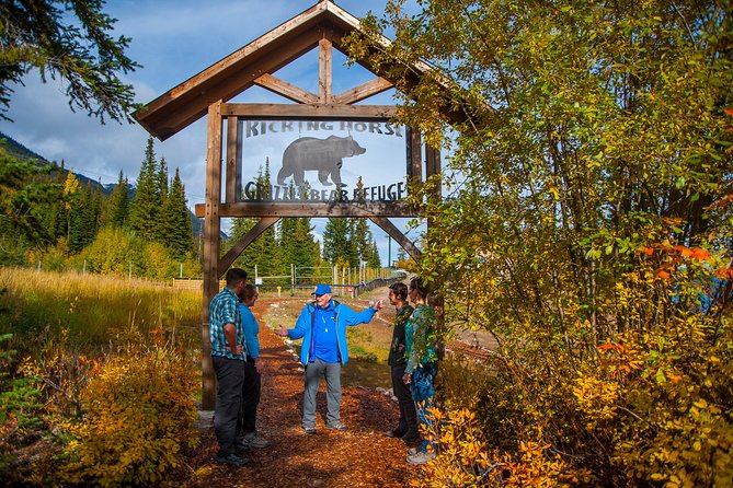 Discover Grizzly Bears From Banff Overview Of The Excursion