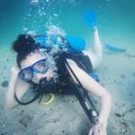 Discover Scuba Diving In Dubai Overview Of The Diving Excursion