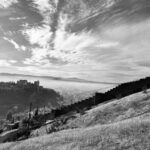 Discover The Caves Of San Miguel And Sacromonte Private Tour Tour Overview