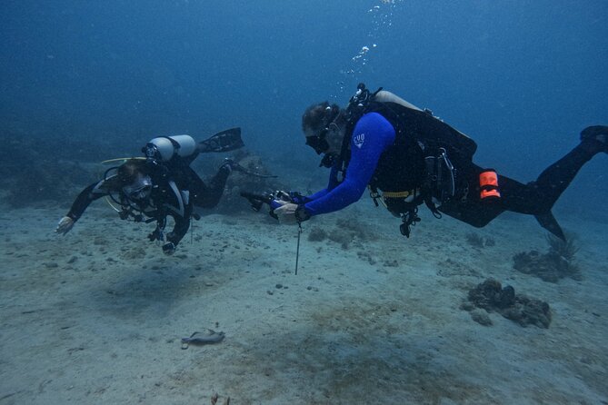 DiveCarib - An Eco-Friendly Certified Diver Trip in Antigua - Overview and Certification