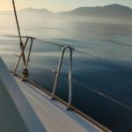 Dolphin Trips On A Catamaran Pricing And Booking Information