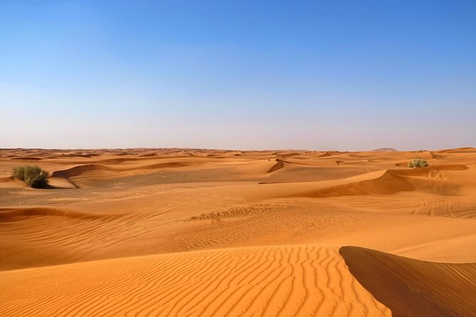 Dubai Desert Safari With Dune Bashing, Camel Rides & BBQ - Overview of the Dubai Desert Safari