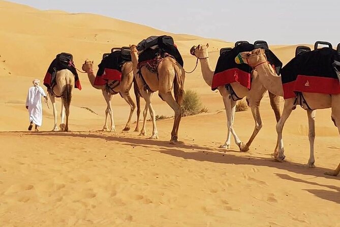 Dubai Evening Desert Safari Tour With Hotel Transfer, Camel Ride and BBQ Dinner - Overview of the Tour