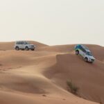 Dubai Premium Desert Safari With Bbq Dinner In Red Dunes Comprehensive Tour Overview