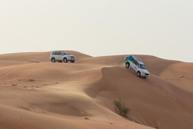 Dubai Premium Desert Safari With Bbq Dinner In Red Dunes Comprehensive Tour Overview