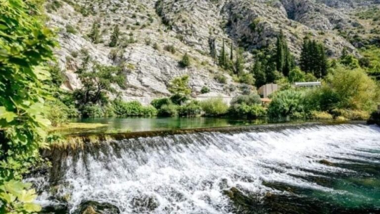 Dubrovnik Sightseeing And Visiting The Botanical Garden Tour Overview And Booking Details