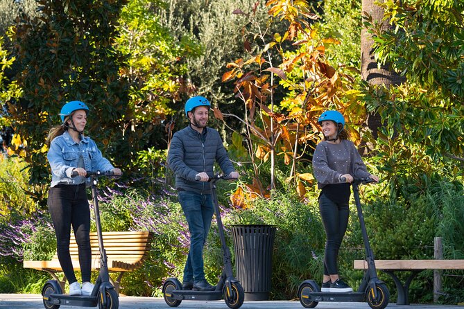 Electric Scooter Rental in Nice - Overview of the Rental Experience