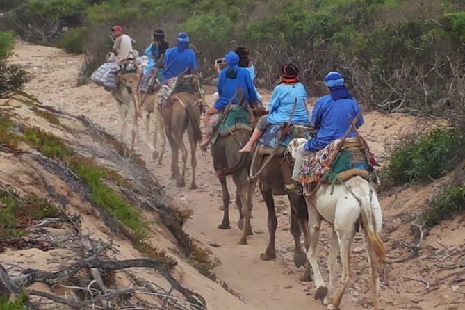 Essaouira 1 Hour Discovery Ride on the Back of a Camel - Inclusions and Amenities