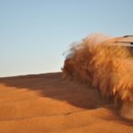 Evening Desert Safari Tour With Sand Surfing, Bbq Dinner (exclusive Car) Tour Overview