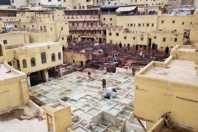 Excursion Day In Fès Inclusions