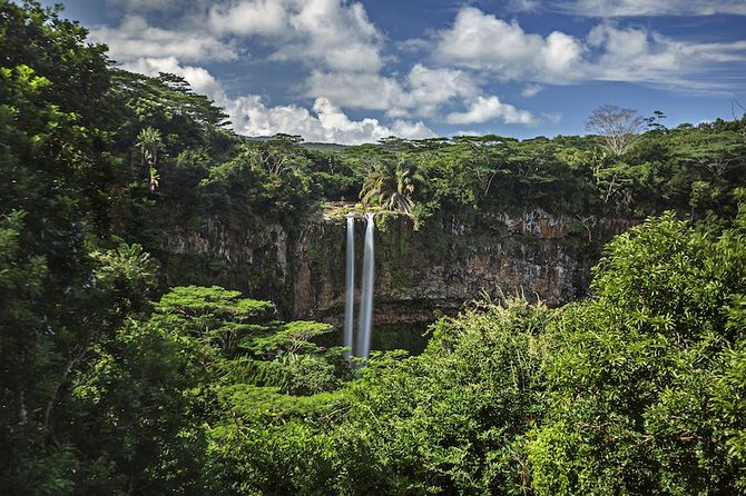 Exotic South: Journey Into the Nature (Full-Day Tour Incl Lunch & Ebony Forest) - Included Experiences