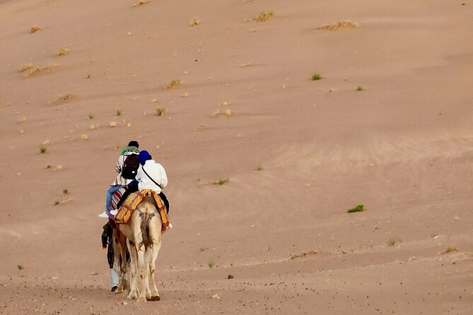 Experience Luxury in Zagora: 2-Day Desert Adventure - Overview of the Tour