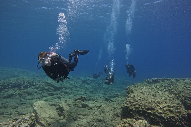 Experience Scuba Diving in Heraklion Crete - Overview of the Scuba Diving Tour