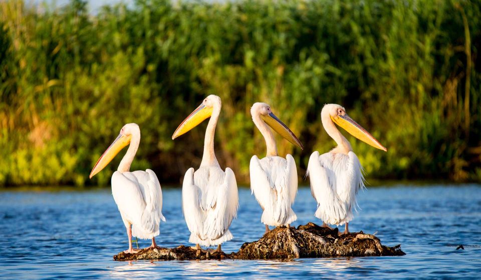 Explore Danube Delta and Black See in 2 Day Private Tour - Tour Overview and Pricing