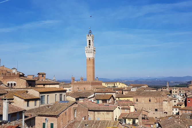 First Time Siena Medieval Tuscany Private Half Day Tour - Explore Piazza Del Campo