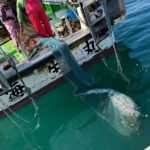 Fishing On A Fishing Boat & Bottom Trawl Tour Tour Overview