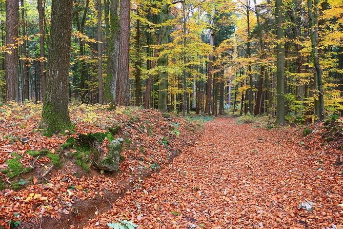 Five Seidla Steig ® Beer Hike Food Experience Private Tour (departs Nuremberg) - Tour Overview